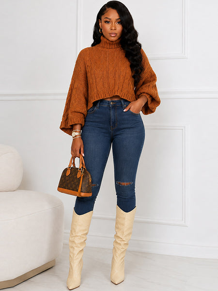 Knit Turtleneck Poncho