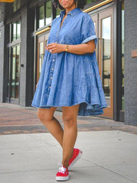 Button Front Denim Dress