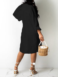 Solid Button-Front Shirt Dress