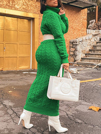 Turtleneck Knit Dress
