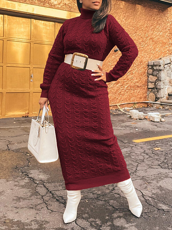 Turtleneck Knit Dress