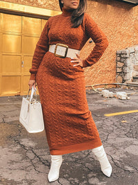 Turtleneck Knit Dress