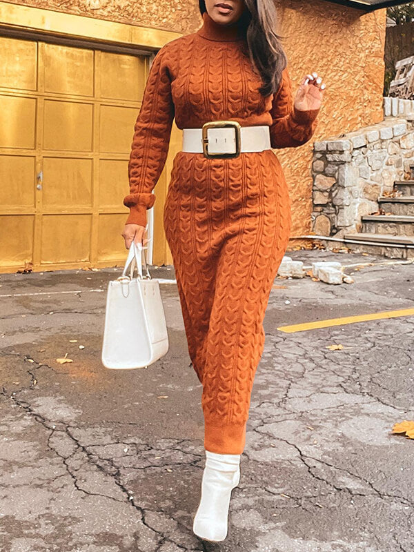 Turtleneck Knit Dress