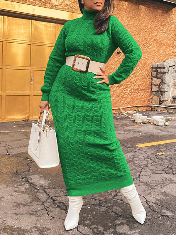 Turtleneck Knit Dress